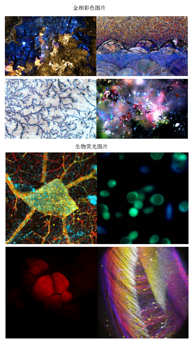 工業(yè)相機2.jpg 工業(yè)相機2.jpg